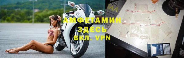 стафф Семилуки