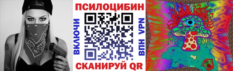 Псилоцибиновые грибы Cubensis  закладка  Ипатово 
